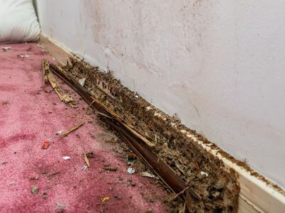 About Phoenix Flood Damage Restoration Pros - flood damage restoration experts in Phoenix